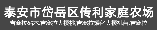 吉塞拉砧木,吉塞拉大樱桃,吉塞拉矮化大樱桃苗,吉塞拉